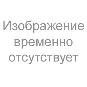BB-4819(на 48 CD) Тигр /24/